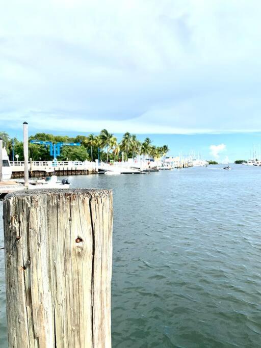 Groveo5 10 Minutes From Miami Beach Buitenkant foto